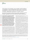 Research paper thumbnail of Association of a germline copy number polymorphism of APOBEC3A and APOBEC3B with burden of putative APOBEC-dependent mutations in breast cancer