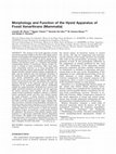 Research paper thumbnail of Morphology and function of the hyoid apparatus of fossil xenarthrans (mammalia)