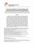 Research paper thumbnail of A neomorphic ossification of the nasal cartilages and the structure of paranasal sinus system of the glyptodont Neosclerocalyptus Paula Couto 1957 (Mammalia, Xenarthra)