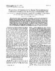 Research paper thumbnail of Phagocytosis of Staphylococci by human polymorphonuclear leukocytes is enhanced in the presence of endothelial cells