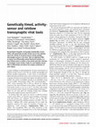 Research paper thumbnail of Genetically timed, activity-sensor and rainbow transsynaptic viral tools