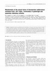 Research paper thumbnail of Morphometry of the sexual forms of Acromyrmex subterraneus brunneus Forel, 1911 (Hym., Formicidae) in queenright and queenless laboratory colonies