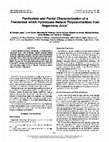 Research paper thumbnail of Purification andPartial Characterization ofa Fructanase whichHydrolyzes Natural Polysaccharides from Sugarcane Juice1