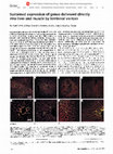 Research paper thumbnail of Sustained expression of genes delivered directly into liver and muscle by lentiviral vectors