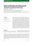 Research paper thumbnail of Effects of cucumber mosaic virus infection on electron transport and antioxidant system in chloroplasts and mitochondria of cucumber and tomato leaves