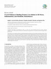 Research paper thumbnail of CCAAT/Enhancer Binding Protein β in relation to ER Stress, Inflammation, and Metabolic Disturbances