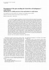 Research paper thumbnail of Reassignment of the gene encoding the Escherichia coli hydrogenase 2 small subunit . Identification of a soluble precursor of the small subunit in a hypB mutant