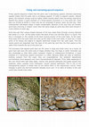 Research paper thumbnail of Fining-and coarsening-upward sequence