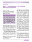 Research paper thumbnail of STAT3: A critical component in the response to Helicobacter pylori infection