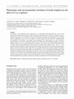 Research paper thumbnail of Phenotypic and environmental correlates of tooth eruption in red deer (Cervus elaphus)