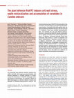 Research paper thumbnail of The plant defensin RsAFP2 induces cell wall stress, septin mislocalization and accumulation of ceramides in Candida albicans