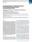 Research paper thumbnail of Recycling endosome tubule morphogenesis from sorting endosomes requires the kinesin motor KIF13A