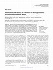 Research paper thumbnail of Intranuclear Distribution of 8-hydroxy-2 9 -deoxyguanosine: An Immunocytochemical Study