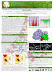 Research paper thumbnail of Homology Modelling and Molecular Dynamic Simulation to Moniliophthora perniciosa Beta-1, 3-glucan Synthase