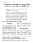 Research paper thumbnail of Thyroid hormone action in fetal brain development and potential for disruption by environmental chemicals