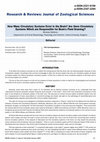 Research paper thumbnail of How Many Circulatory Systems Exist in the Brain? Are there Circulatory Systems Which are Responsible for Brain’s Fluid Draining?