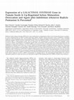 Research paper thumbnail of Expression of a GALACTINOL SYNTHASE Gene in Tomato Seeds Is Up-Regulated before Maturation Desiccation and Again after Imbibition whenever Radicle Protrusion Is Prevented