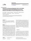 Research paper thumbnail of Exposure of Intestinal Epithelial Cells to UV-Killed Lactobacillus GG but Not Bifidobacterium breve Enhances the Effector Immune Response in vitro