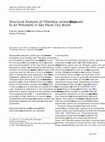 Research paper thumbnail of Structural Analysis of Tillandsia usneoides L. Exposed to Air Pollutants in São Paulo City–Brazil