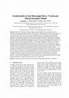 Research paper thumbnail of Ecohydraulics in the Mississippi River: Freshwater Mussel Dynamics Model