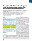 Research paper thumbnail of Regulation of the Mammalian Elongation Cycle by Subunit Rolling: A Eukaryotic-Specific Ribosome Rearrangement