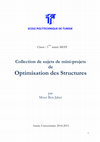 Research paper thumbnail of Sujets de mini-projets d'optimisation des structures