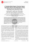 Research paper thumbnail of A Template Metal-Organic Chemical Vapour Deposition Route to the Fabrication of Free Standing Co<SUB>3</SUB>O<SUB>4</SUB> Nanotube Arrays