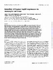 Research paper thumbnail of Induction of human hsp60 expression in monocytic cell lines