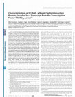 Research paper thumbnail of Characterization of hCINAP, a Novel Coilin-interacting Protein Encoded by a Transcript from the Transcription Factor TAFIID32 Locus