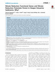 Research paper thumbnail of Nitrate Reduction Functional Genes and Nitrate Reduction Potentials Persist in Deeper Estuarine Sediments. Why