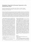 Research paper thumbnail of Endophytic Fungal beta -1,6-Glucanase Expression in the Infected Host Grass