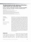 Research paper thumbnail of The Paleoenvironment and Lithic Taphonomy of Shi’Bat Dihya 1, a Middle Paleolithic Site in Wadi Surdud, Yemen