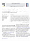 Research paper thumbnail of Characterization of a putative hsp70 pseudogene transcribed in protoscoleces and adult worms of Echinococcus granulosus