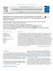 Research paper thumbnail of Identification and characterization of a QM protein as a possible peptidoglycan recognition protein (PGRP) from the giant tiger shrimp Penaeus monodon