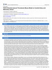 Research paper thumbnail of Ferric Chloride-induced Thrombosis Mouse Model on Carotid Artery and Mesentery Vessel