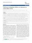 Research paper thumbnail of Tall fescue endophyte effects on tolerance to water-deficit stress