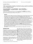 Research paper thumbnail of Mn translocation in barley monitored using a positron-emitting tracer imaging system