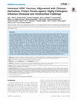 Research paper thumbnail of Intranasal H5N1 Vaccines, Adjuvanted with Chitosan Derivatives, Protect Ferrets against Highly Pathogenic Influenza Intranasal and Intratracheal Challenge