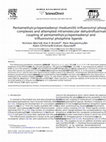 Research paper thumbnail of Pentamethylcyclopentadienyl rhodium(III) trifluorovinyl phosphine complexes and attempted intramolecular dehydrofluorinative coupling of pentamethylcyclopentadienyl and trifluorovinyl phosphine ligands