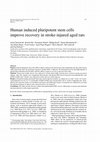 Research paper thumbnail of Human induced pluripotent stem cells improve recovery in stroke-injured aged rats