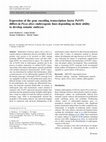 Research paper thumbnail of Expression of the gene encoding transcription factor PaVP1 differs in Picea abies embryogenic lines depending on their ability to develop somatic embryos