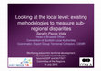 Research paper thumbnail of Looking at the local level: existing methodologies to measure sub- regional disparities Monitoring polycentric territorial development in Europe with novel indicators: beyond GDP and NUTS2? Committee of the Regions