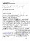 Research paper thumbnail of Bioprospecting for genes involved in the production of chitosanases and microcystin-like compounds in Anabaena strains