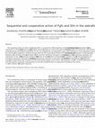 Research paper thumbnail of Sequential and cooperative action of Fgfs and Shh in the zebrafish retina