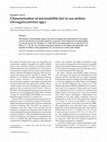 Research paper thumbnail of Characterization of microsatellite loci in sea urchins (Strongylocentrotus spp.)