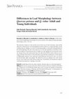 Research paper thumbnail of Differences in leaf morphology between Quercus petraea and Q. robur adult and young individuals