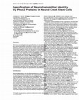 Research paper thumbnail of Specification of Neurotransmitter Identity by Phox2 Proteins in Neural Crest Stem Cells