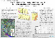 Research paper thumbnail of Zooarqueología en la llanura aluvial del Paraná la implementación de GIS a escala regional