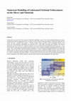 Research paper thumbnail of Numerical Modelling of Lubricated Frictional Tribocontacts on the Micro-and Nanoscale