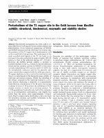 Research paper thumbnail of Perturbations of the T1 copper site in the CotA laccase from Bacillus subtilis: structural, biochemical, enzymatic and stability studies